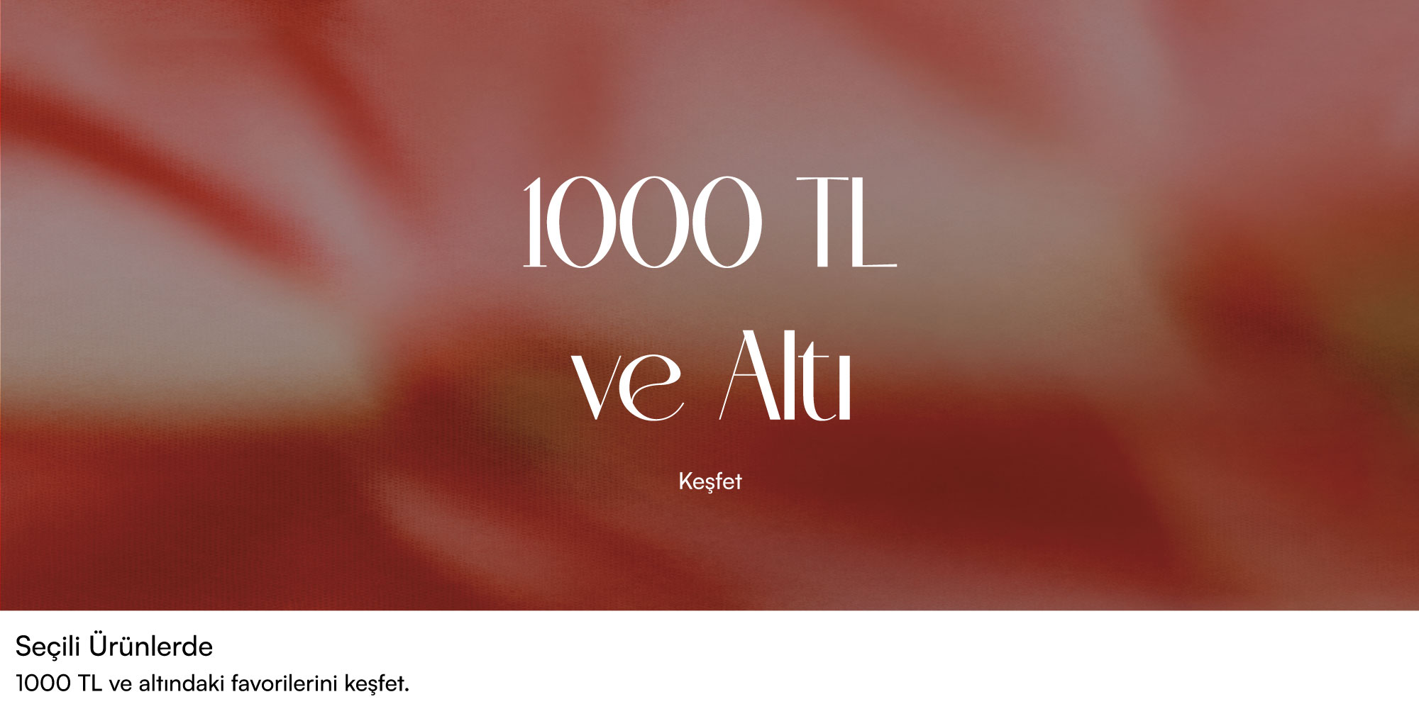 1000 TL ve Altı